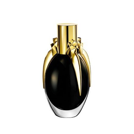 FAME - Lady Gaga Apa de...